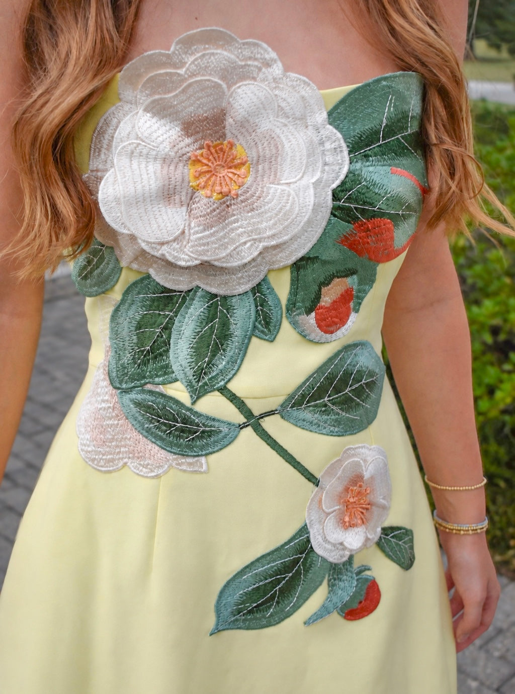 Camelia Mini