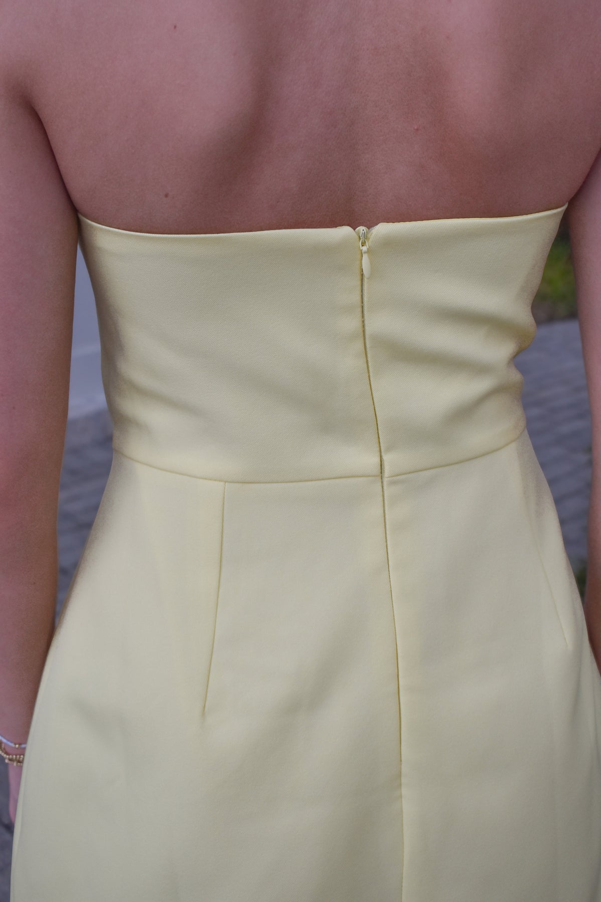 Camelia Mini
